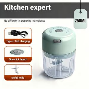 TEMU FLZH 전동 미니 마늘 다지기, 250ml USB 미니 식품 다지기 마늘 으깨기, 야채 다지기, 양파 다지기, 마늘, 생강, 고추, 채소용 휴대용 소형 식품 가공기