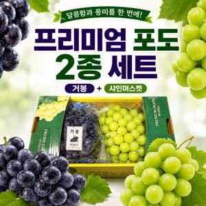 TEMU 거봉 샤인머스켓 혼합 포도세트