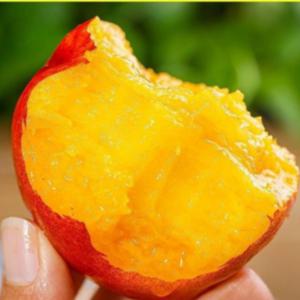 TEMU 산지직송 새콤달콤 후무사자두 중과 1kg
