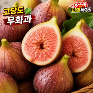 TEMU [새벽수확] 26년 수확 영암 홍무화과 무화과