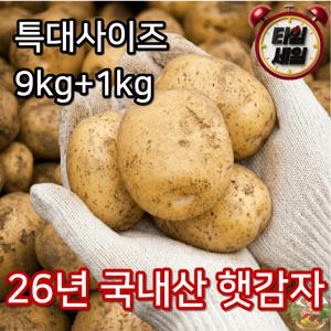 TEMU [무료배송 한정수량]달달 포슬 국내산 햇수미감자(특대) 9kg+1kg(추가)