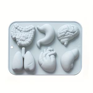 TEMU 내부 장기 몰드 인체 장기 몰드 6가지 모양, 점토, 비누, 양초 제작 몰드, 드립 글루 템플릿, 촬영 소품, 교육 샘플 몰드 제작