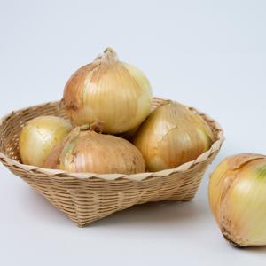 TEMU 100% 국내산 단단한 양파 5kg / 소 (장아찌용)