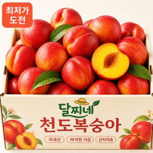 TEMU 950g 알짜만 선별한 신선하고 맛있는 국내산 천도복숭아 산지직송