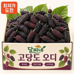 TEMU 풍부한 과즙과 달콤한 풍미 국내산 햇오디 특품 800g