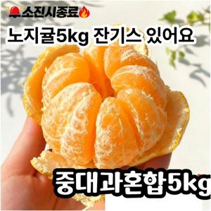 TEMU 재주문1위 제주 서귀포 감귤, 1박스, 감귤 5kg(s/L/2L) 소중대 혼합과 (일시적으로만 판매하는 단기판매 상품)