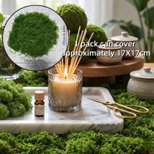 DIY 실내/실외 장식용 사실적인 인조 이끼 시트 - 테라리움, 수족관, 화분 및 조경용 내추럴 그린 이끼 - 간편한 설치, 관리가 적게 드는 내구성 있는 플라스틱 이끼, 가정 정원 장식용, 유리 용기 사용에 적합