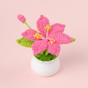 TEMU 완성된 수제 코바늘 뜨개질 플라그넨티스 난초 시뮬레이션 꽃 화분 신선한 여학생 선물 홈 데코레이션용