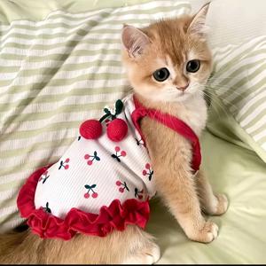 TEMU 애완 고양이 강아지 체리 프린트 경량 레드 멜빵 원피스, 봄/여름, 크리스마스, 크리스마스 장식에 적합