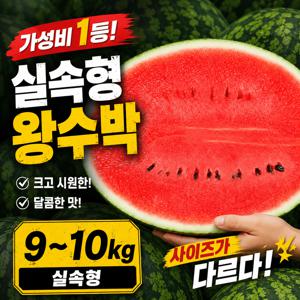 TEMU [산지특가] 9~10kg 왕사이즈!! 수박 고당도 가정용 수박