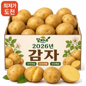 TEMU [재구매1위] 국내산 햇 감자 제철 감자 포슬포슬 알감자 대용량 햇감자5kg내외 (중)