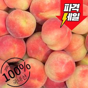 TEMU 국내산 제철 대극천 반납작 복숭아 대과size(7~9과내외)