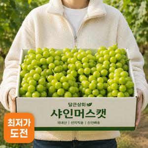 TEMU [새벽수확] 프리미엄 아삭 샤인머스캣 999g 머스캣향 명품 청포도