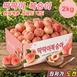 TEMU [100박스한정] 고당도선별 딱딱이 복숭아 1kg+1kg / 경북 산지직송