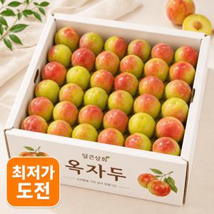 TEMU [하루딱50박스] 소문으로만듣던 옥자두 대석 제철 자두 498g