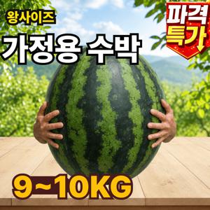 TEMU 초고당도 꿀수박 산지직송 가정용 수박 9~10kg