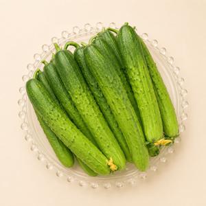 TEMU [떫은맛 없이 시원한] 100% 국내산 백오이 백오이 2kg내외10개내외