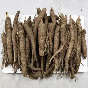 제주도 햇 더덕 중 2kg