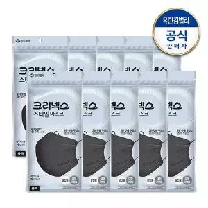 스타일 마스크 플러스 블랙 대형 3PX10개