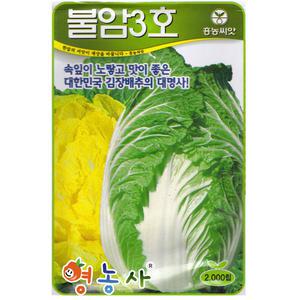 불암3호배추씨앗 2000립 26년포장