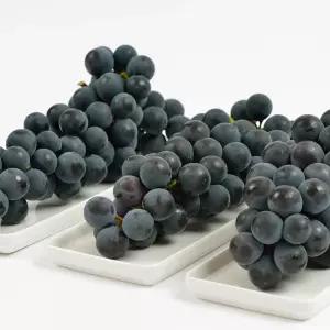 국내산 김천 캠벨포도 상품 2kg 6-10수 내외