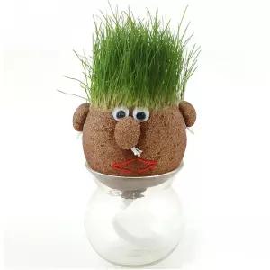 잔디인형세트 잔디머리 얼굴인형 토피어리