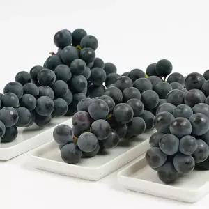 국내산 김천 캠벨포도 상품 2kg 6-10수 내외