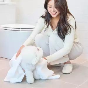 순둥이 펫 타월 M 40매 2팩 생분해 강아지 고양이 수건