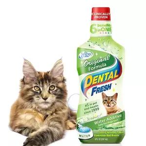 [하프클럽/오티마트]고양이 덴탈 후레쉬 오리지널 237ml 물에 섞는 치약