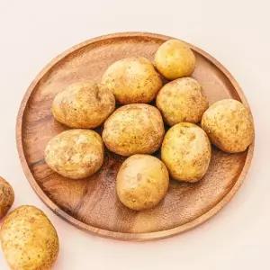 수미햇감자 특 5kg