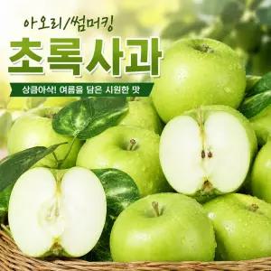 [대과만 판매] 가정용 초록사과 (아오리/썸머킹) 26년 수확 풋사과