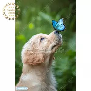 보석십자수대형 푸른 나비와 리트리버 강아지 비즈 잼보석