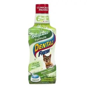 [하프클럽/셀럽하우스]고양이용품 씨너지랩 덴탈 후레쉬 캣 오리지날 237ml