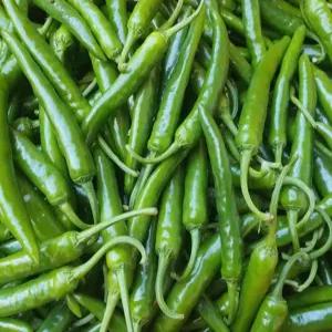 국내산 청양고추 상급 1kg