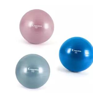 55cm 짐볼 헬스용품 안티버스트 마사지볼 아이워너 스트레칭