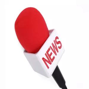 프잰 가짜 NEWS 마이크 가짜마이크장난감