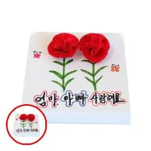 헤이지 C0302 쏘잇 5명용 6 이션 액자 카네이션만들기 카네이션액자만들기 카네이션만들기재료