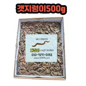 생물 갯지렁이 청개비 500g 낚시 미끼 낚시미끼 통발 캠핑필수품 바다미끼