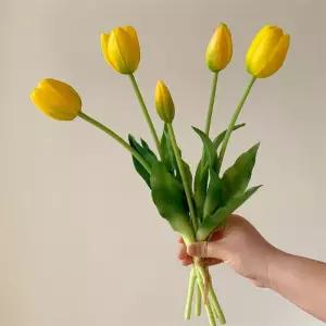 튤립조화 망고튤립 다발 고급튤립 5송이