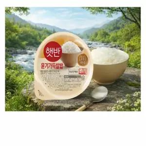 CJ 햇반 윤기가득쌀밥 210g x 24개