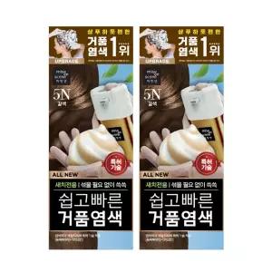 미쟝센 올뉴 쉽고빠른거품 염색약 5N갈색, 80g, 2개