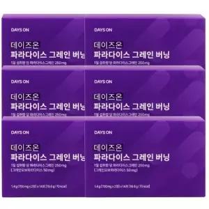 데이즈온 파라다이스 그레인 버닝 28정 x 6박스