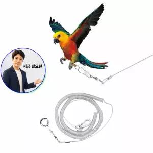 지금 필요한 앵무새용품 리드줄 산책 용품 앵무새 하네스 발목링