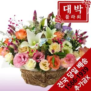 쉬는날 꽃바구니 생일선물 기념일 출산꽃 병문안 전국꽃배달서비스