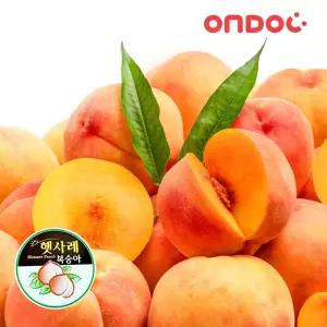 [온도씨]26년 햇사레 복숭아 황도 3kg 10과