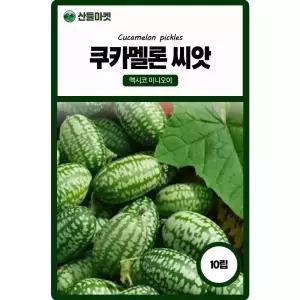 산들마켓 쿠카멜론 오이씨앗 10립 수박처럼 생긴 멕시코의 미니 오이씨 종자