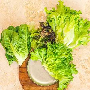 유러피안 샐러드 채소 1kg