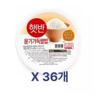 햇반 백미 윤기가득쌀밥 210g 36개