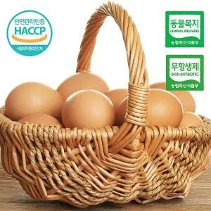 알알이 동물복지 난각번호2번 유정란 40구