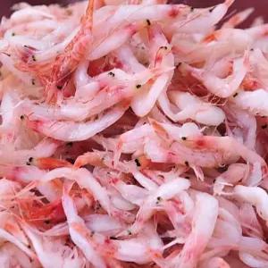 생활 특추젓 추젓 토굴젓갈 새우젓 광천토굴 1kg 하니D3